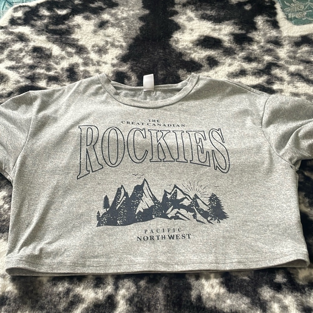 Grey crop t shirt